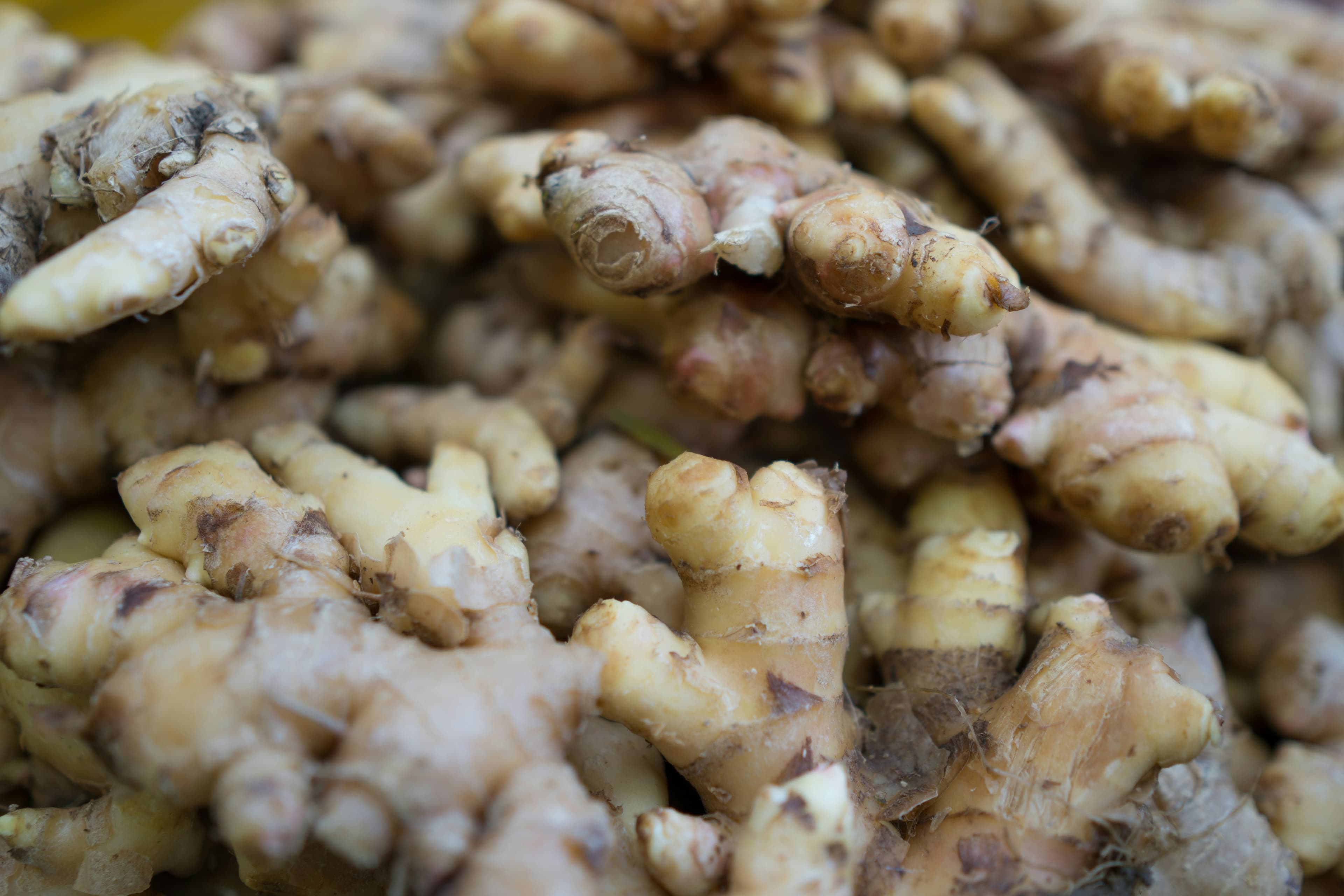 Vermicomposting: The Engine of Soil Regeneration